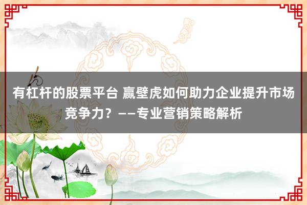 有杠杆的股票平台 赢壁虎如何助力企业提升市场竞争力？——专业营销策略解析