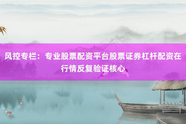 风控专栏：专业股票配资平台股票证券杠杆配资在行情反复验证核心