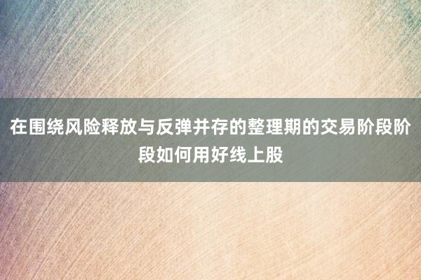 在围绕风险释放与反弹并存的整理期的交易阶段阶段如何用好线上股