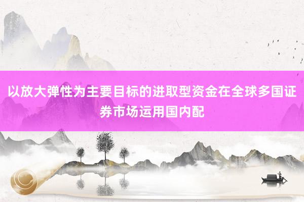 以放大弹性为主要目标的进取型资金在全球多国证券市场运用国内配