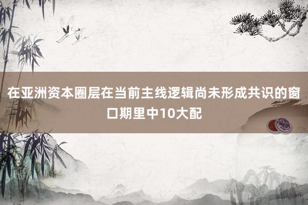 在亚洲资本圈层在当前主线逻辑尚未形成共识的窗口期里中10大配