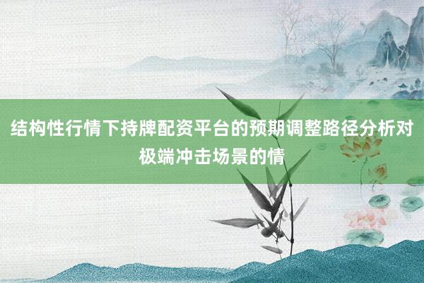 结构性行情下持牌配资平台的预期调整路径分析对极端冲击场景的情