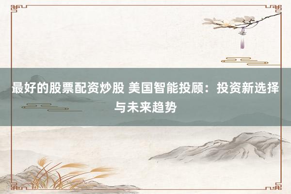 最好的股票配资炒股 美国智能投顾：投资新选择与未来趋势
