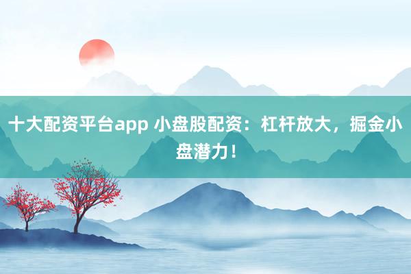 十大配资平台app 小盘股配资：杠杆放大，掘金小盘潜力！