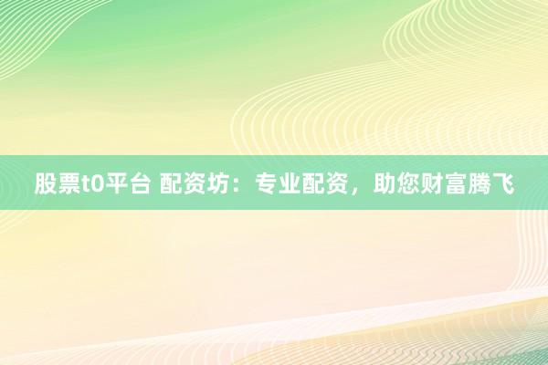 股票t0平台 配资坊：专业配资，助您财富腾飞