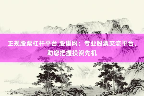 正规股票杠杆平台 股巢网：专业股票交流平台，助您把握投资先机